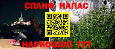 гидра Малгобек
