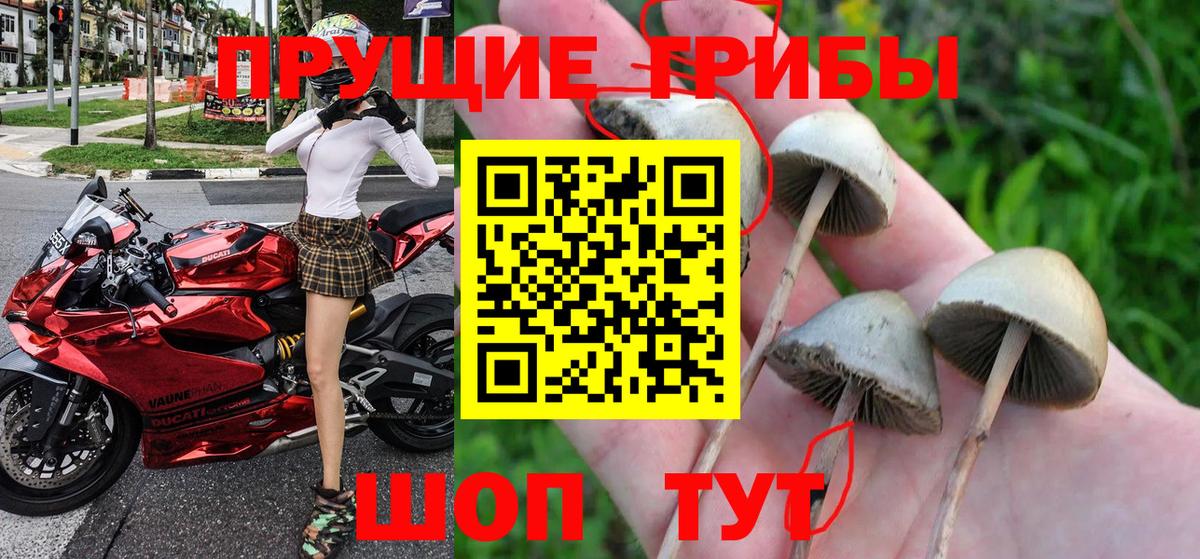 Галлюциногенные грибы MAGIC MUSHROOMS Дюртюли