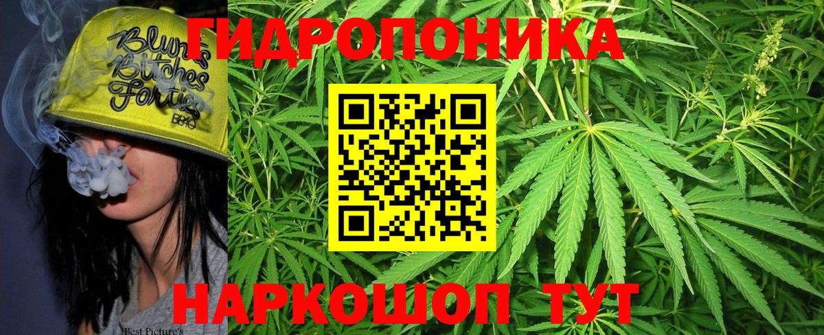 Бошки Шишки гибрид  Вход с VPN  Бошки Шишки марихуана  Каннабис индика  Дюртюли 